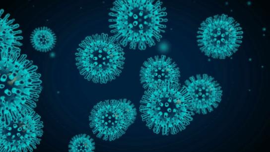 Coronavirus Coronavirus